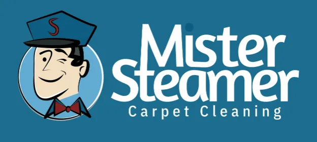 Mister Steamer logo – professional branding for pest‑management partners