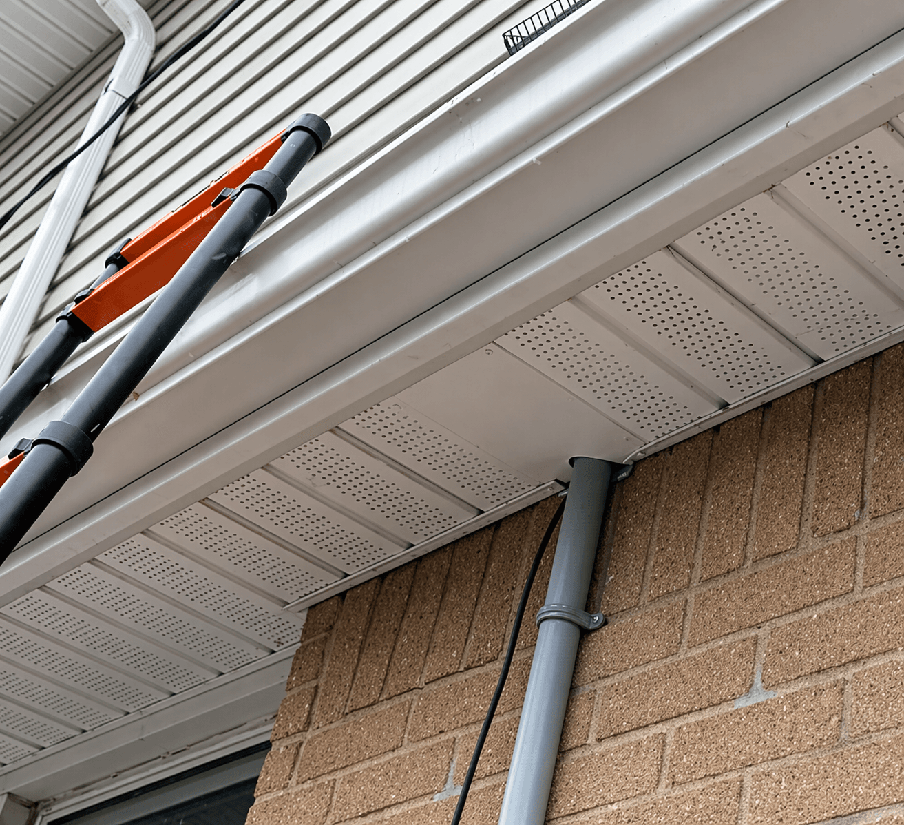 One-Way Exclusion Door Installed on Soffit